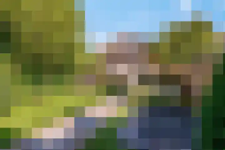 Burgemeester Meslaan 9 Tiel thumbnail 9