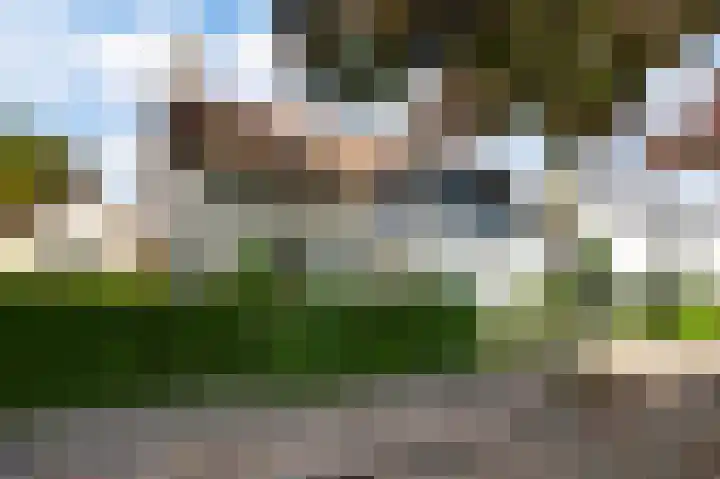 Burgemeester Michelsstraat 22 Heeze thumbnail 4