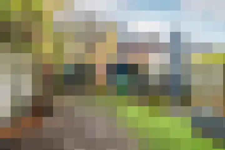 Burgemeester Middelaerlaan 10 Breda thumbnail 27