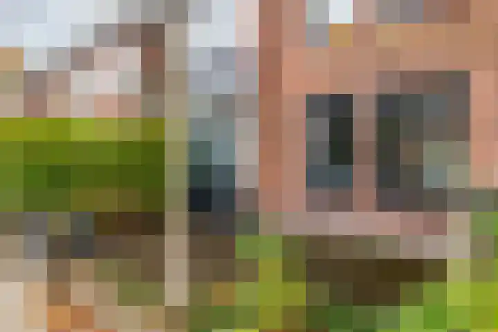 Burgemeester Middelaerlaan 10 Breda thumbnail 43
