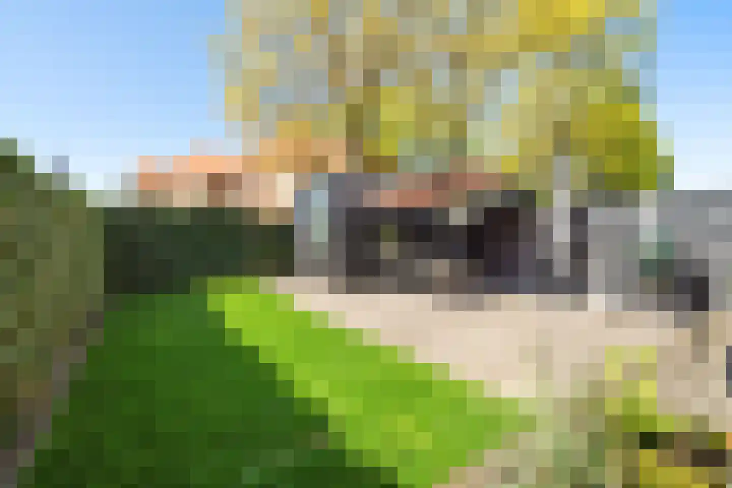 Burgemeester Middelaerlaan 3 Breda thumbnail 19