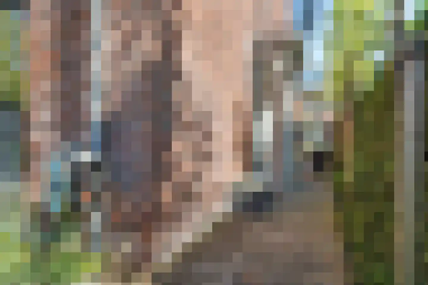 Burgemeester Middelaerlaan 3 Breda thumbnail 21