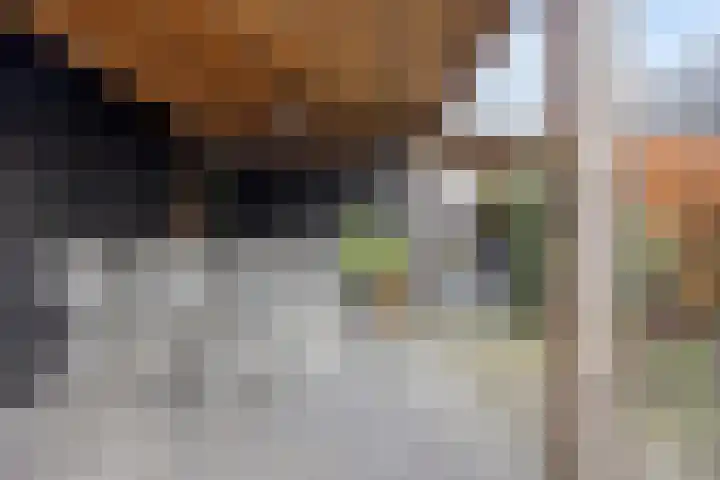 Burgemeester Middelaerlaan 4 Breda thumbnail 24
