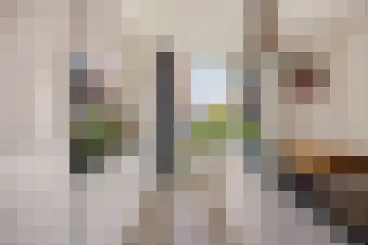 Burgemeester Middelaerlaan 4 Breda thumbnail 5