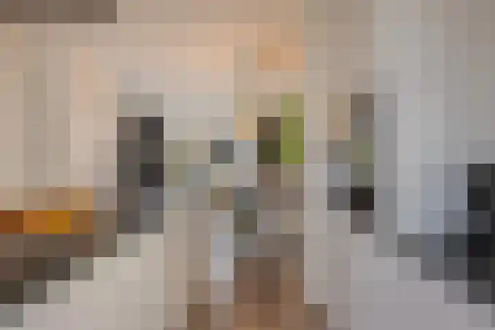 Burgemeester Middelaerlaan 4 Breda thumbnail 7