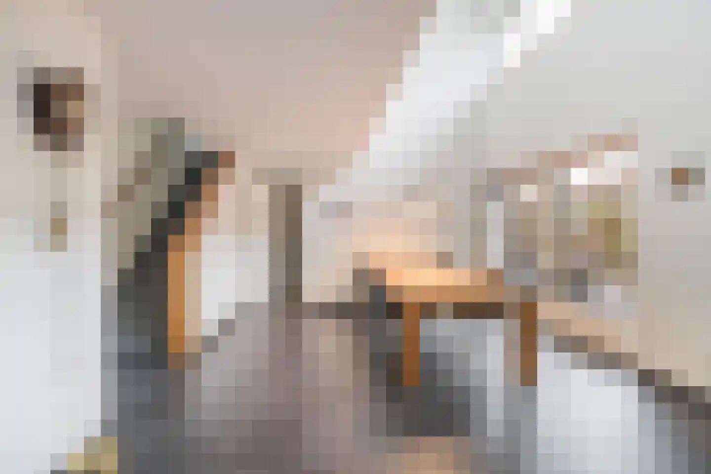 Burgemeester Mijslaan 4 Middelharnis thumbnail 15