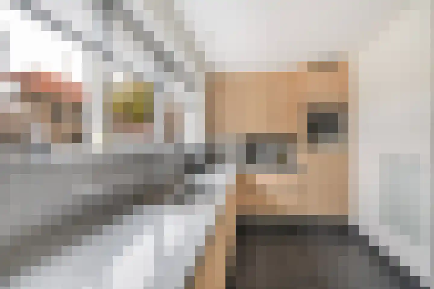 Burgemeester Mijslaan 4 Middelharnis thumbnail 18