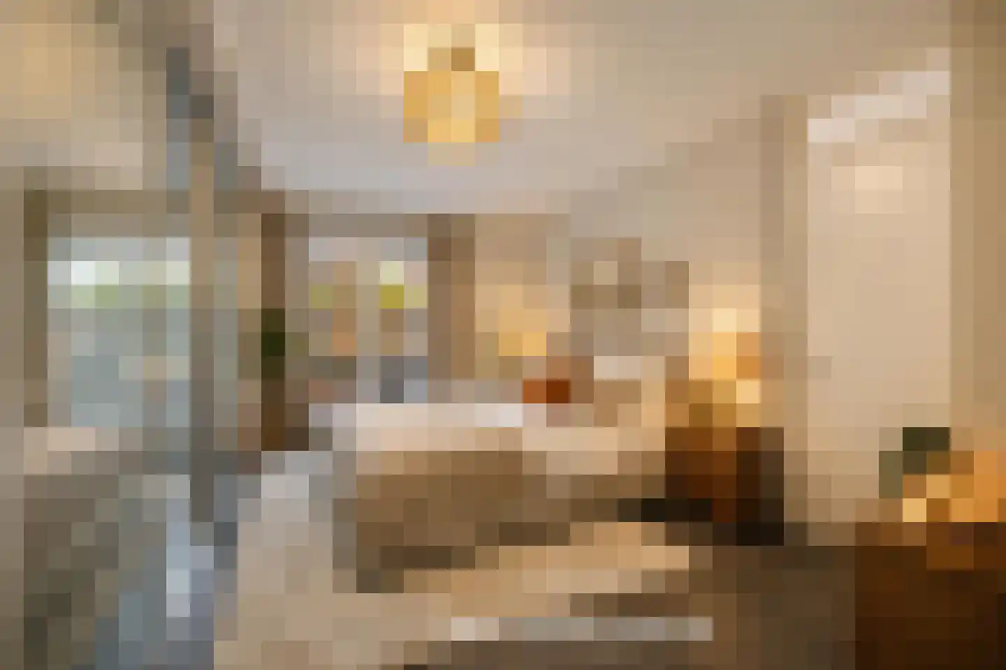 Burgemeester Mijslaan 4 Middelharnis thumbnail 20