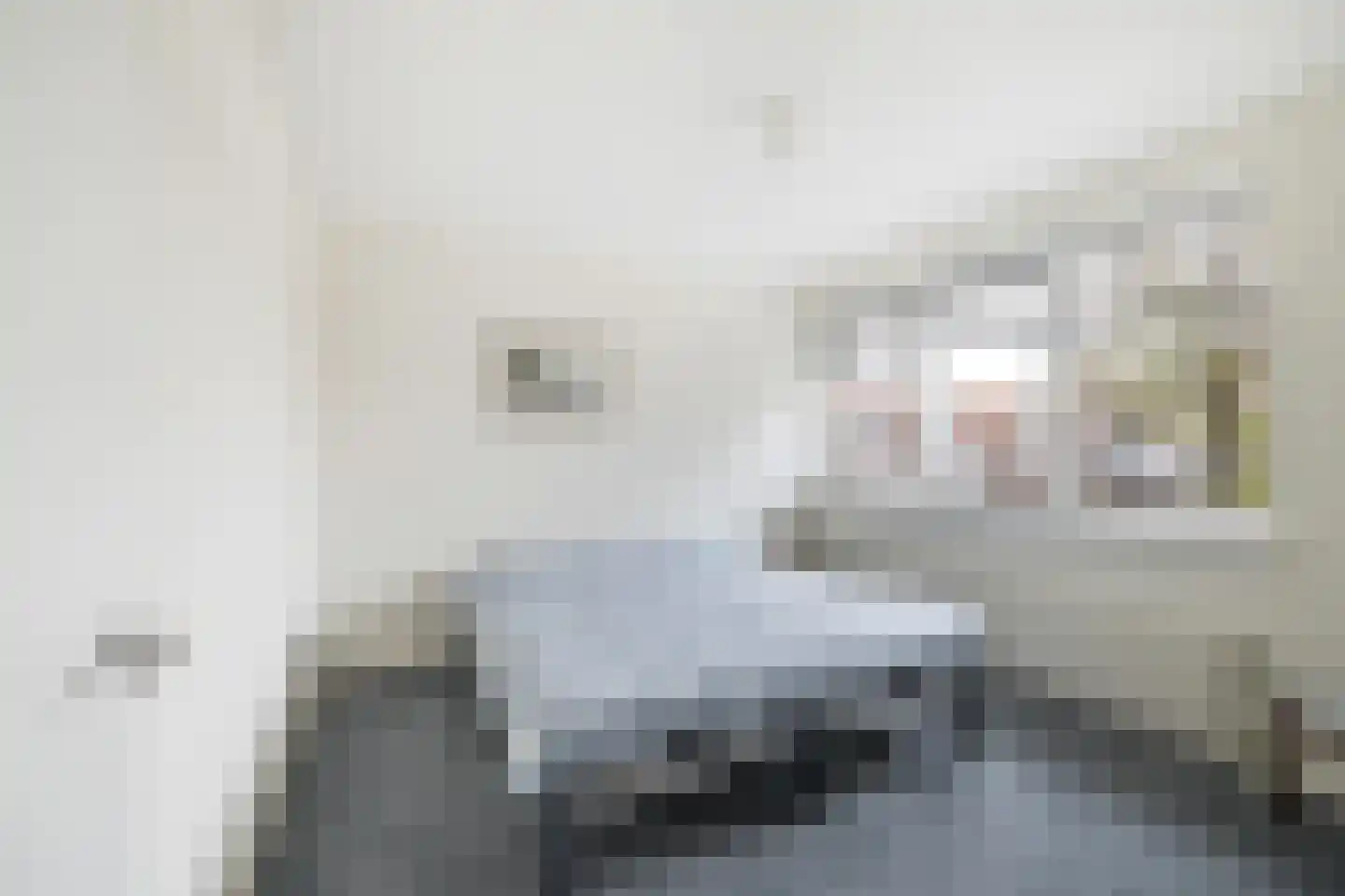 Burgemeester Mijslaan 4 Middelharnis thumbnail 26