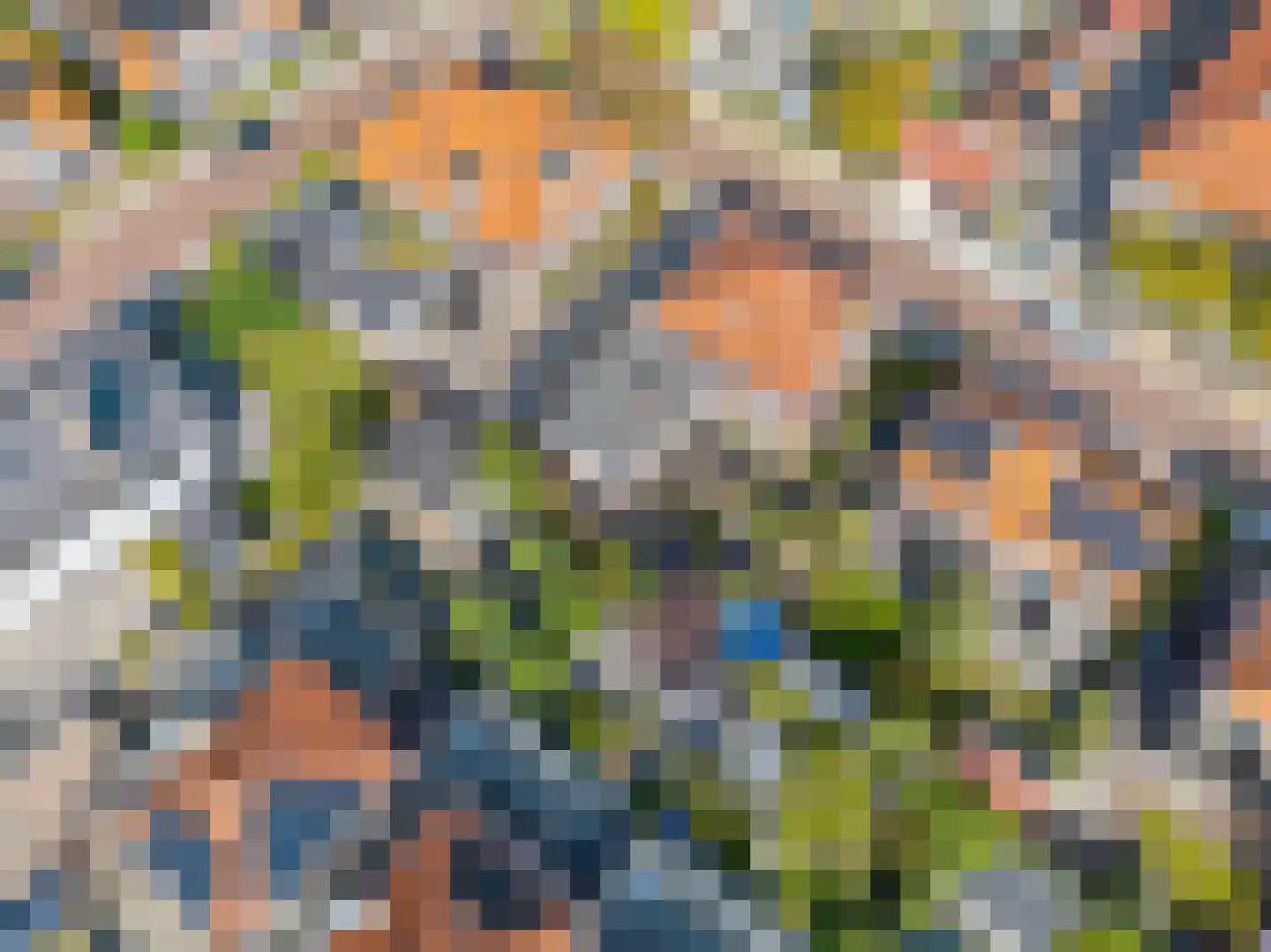 Burgemeester Mijslaan 4 Middelharnis thumbnail 40