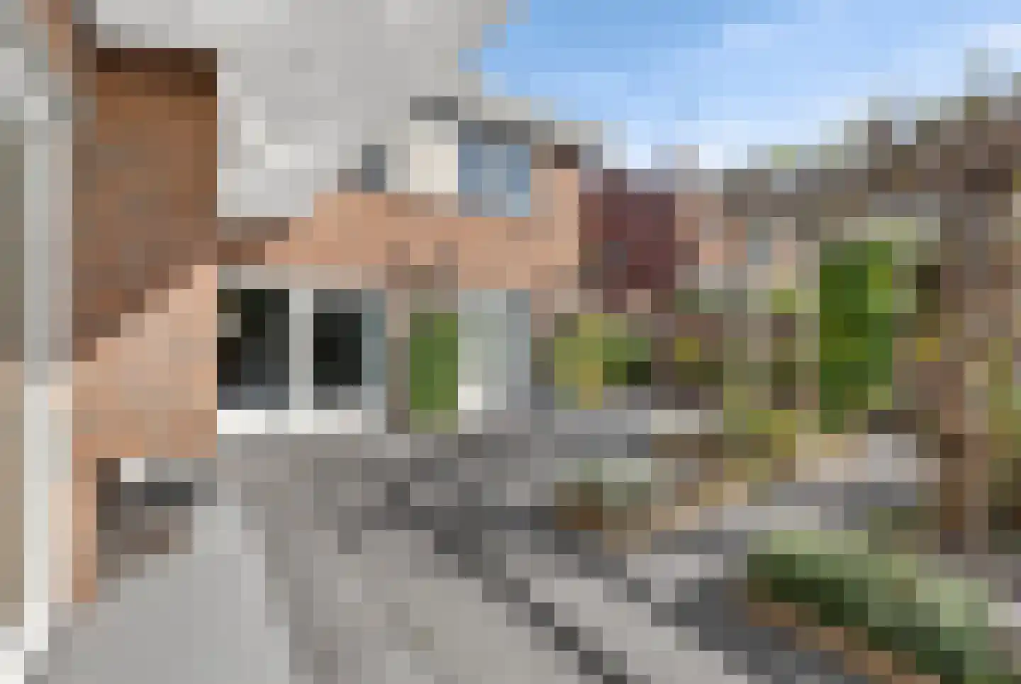 Burgemeester Mijslaan 4 Middelharnis thumbnail 52
