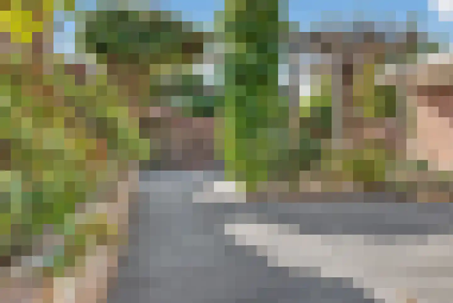 Burgemeester Mijslaan 4 Middelharnis thumbnail 53