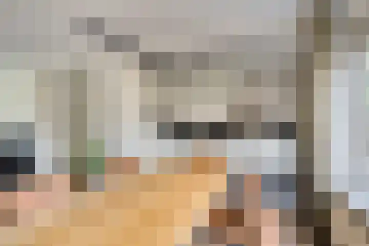 Burgemeester Mollaan 7 Waalre thumbnail 10