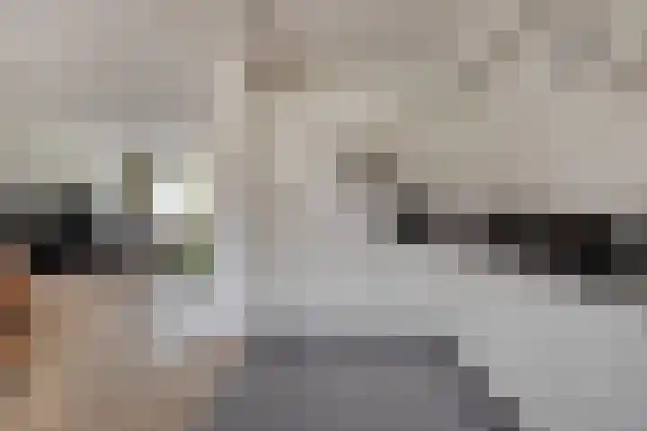 Burgemeester Mollaan 7 Waalre thumbnail 12