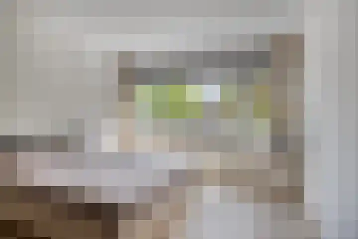 Burgemeester Mollaan 7 Waalre thumbnail 14