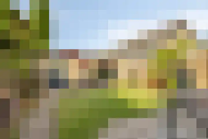 Burgemeester Mollaan 7 Waalre thumbnail 26