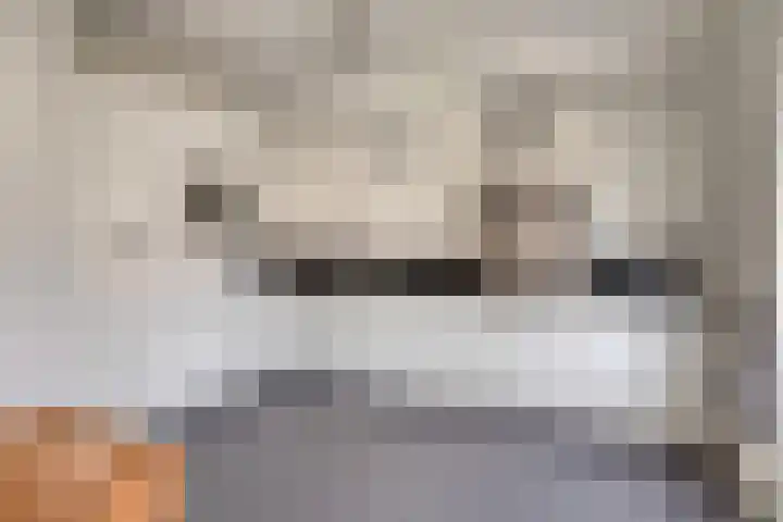 Burgemeester Mollaan 7 Waalre thumbnail 4