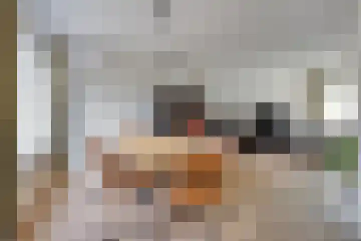 Burgemeester Mollaan 7 Waalre thumbnail 9