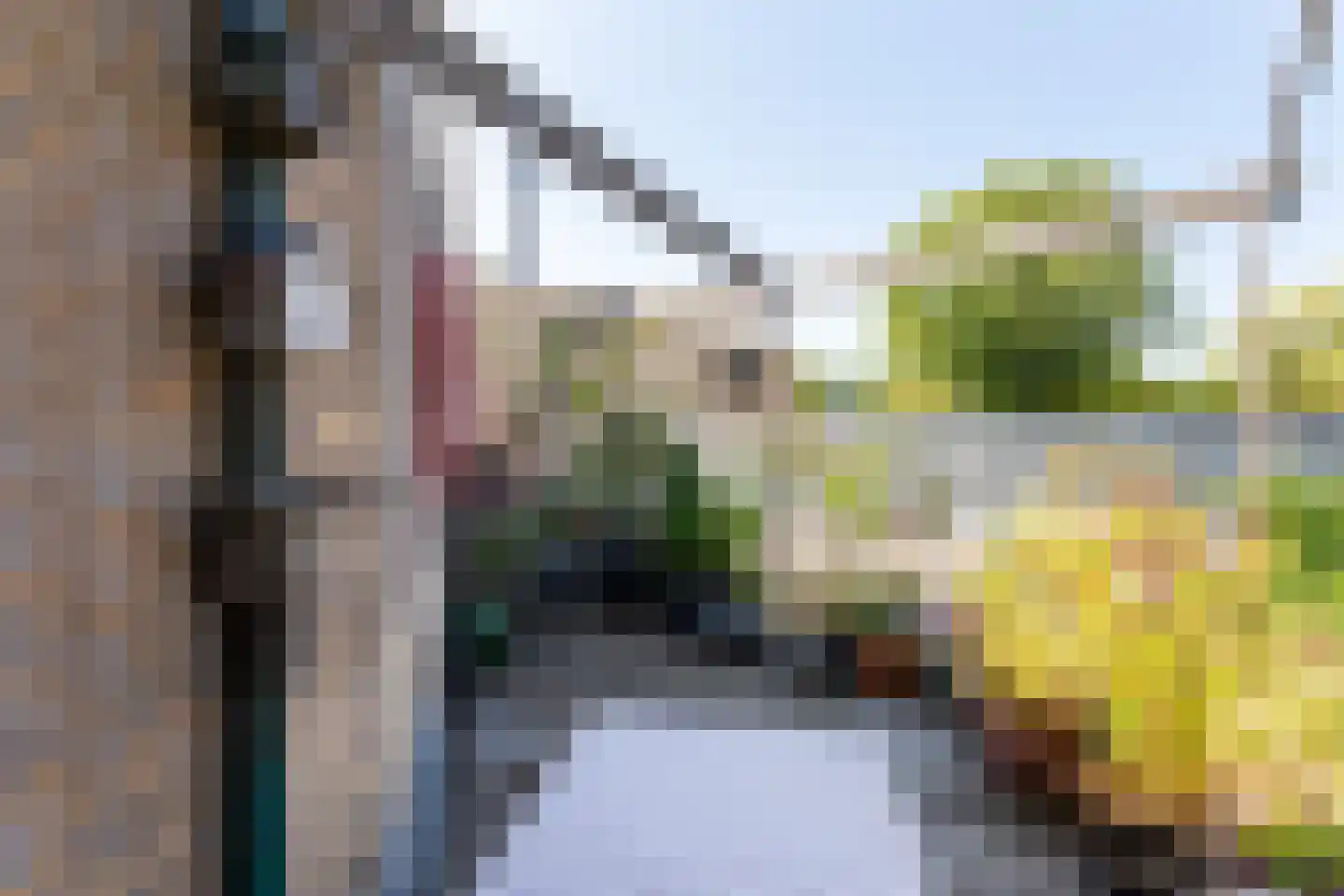 Burgemeester Mooijstraat 32 Castricum thumbnail 34