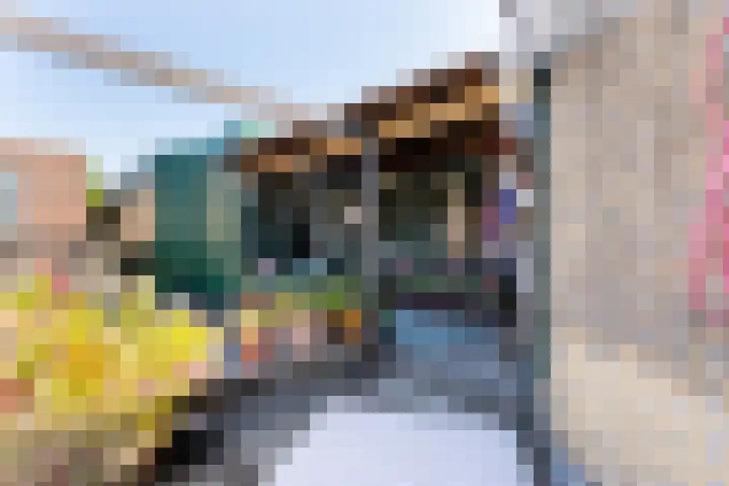 Burgemeester Mooijstraat 32 Castricum thumbnail 35