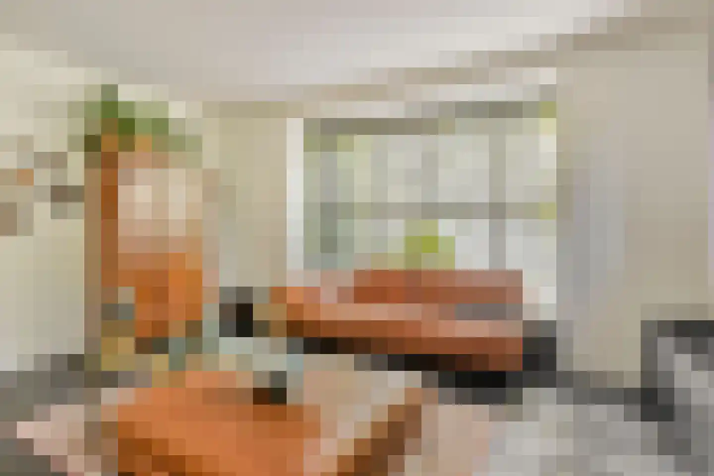 Burgemeester Moonenlaan 4 Waalwijk thumbnail 10
