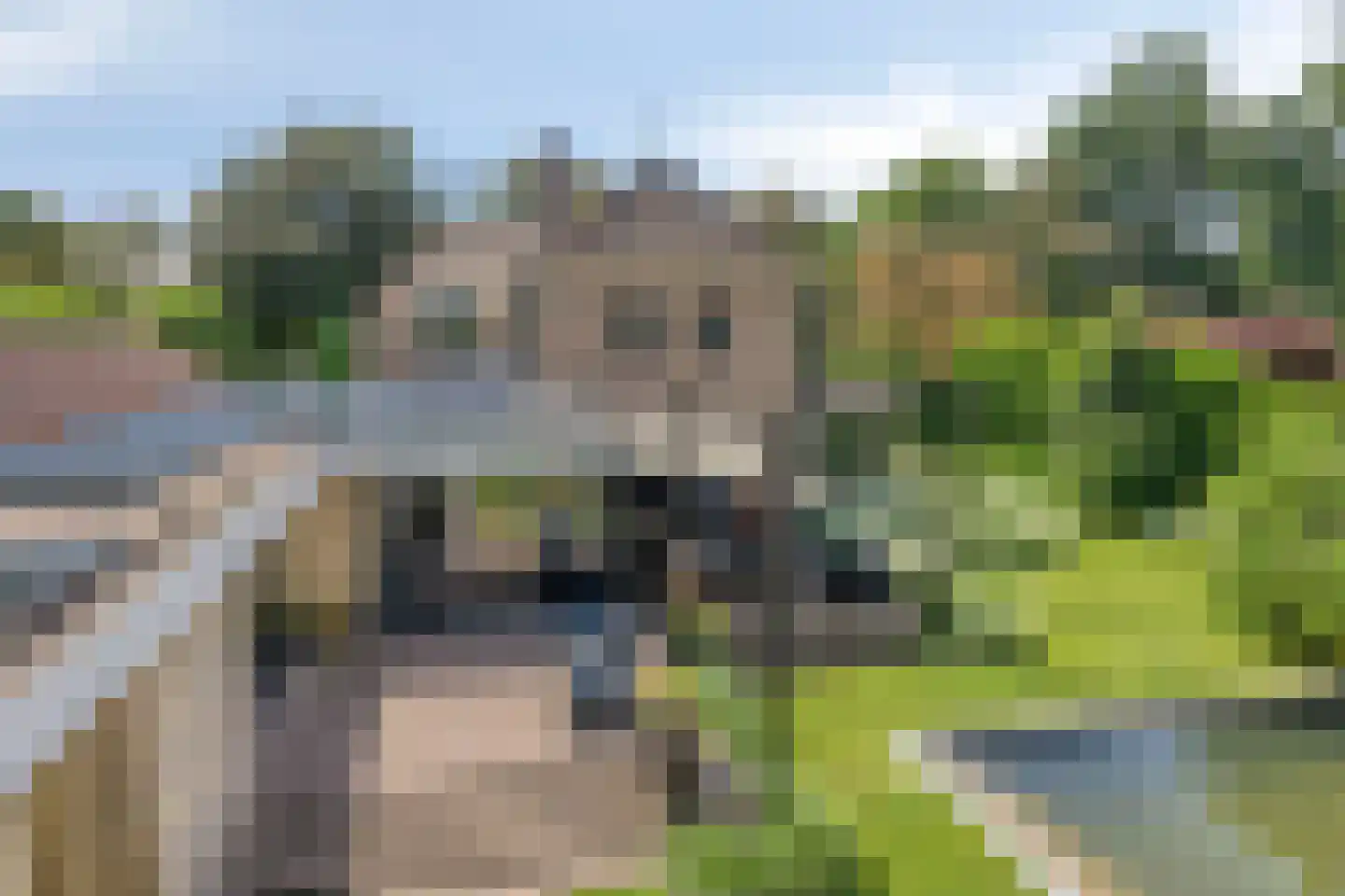 Burgemeester Moonenlaan 4 Waalwijk thumbnail 59