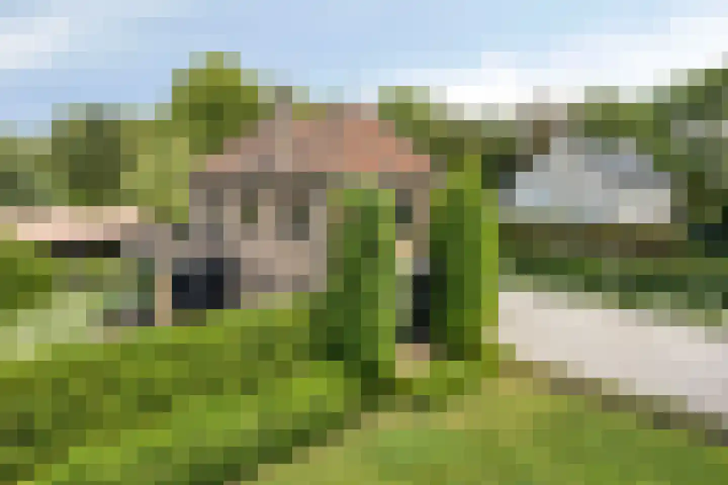 Burgemeester Moonenlaan 4 Waalwijk thumbnail 66