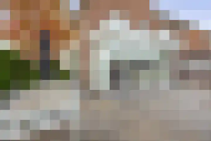 Burgemeester Moorenstraat 2 Reuver thumbnail 22