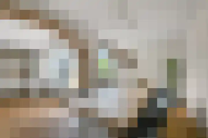 Burgemeester Mosselstraat 11 Krommenie thumbnail 6