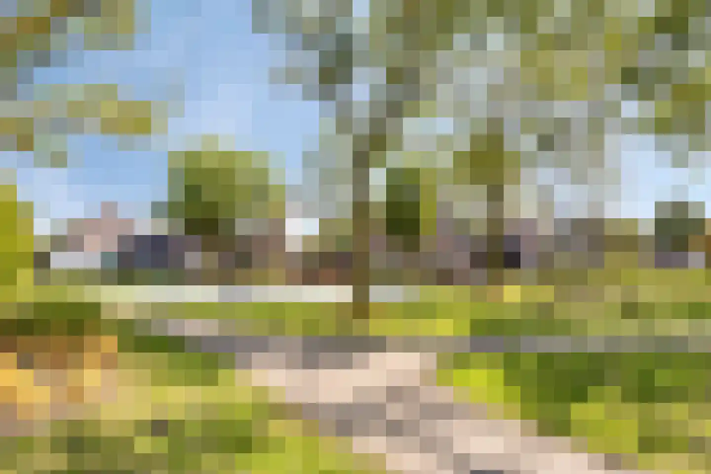 Burgemeester Mostermanslaan 38 Lieshout thumbnail 33