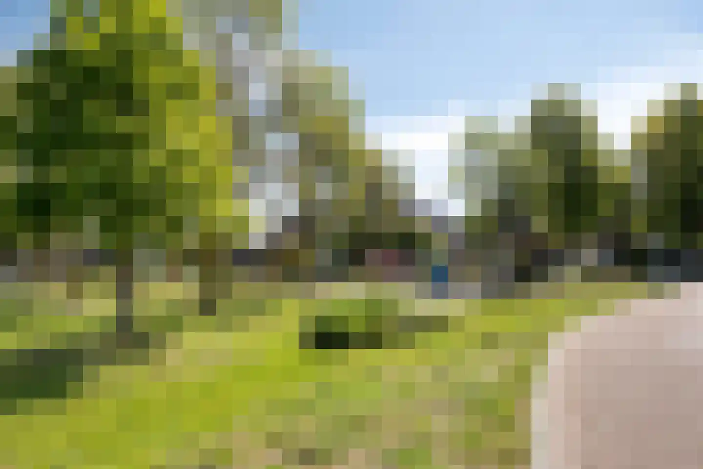 Burgemeester Mostermanslaan 38 Lieshout thumbnail 34