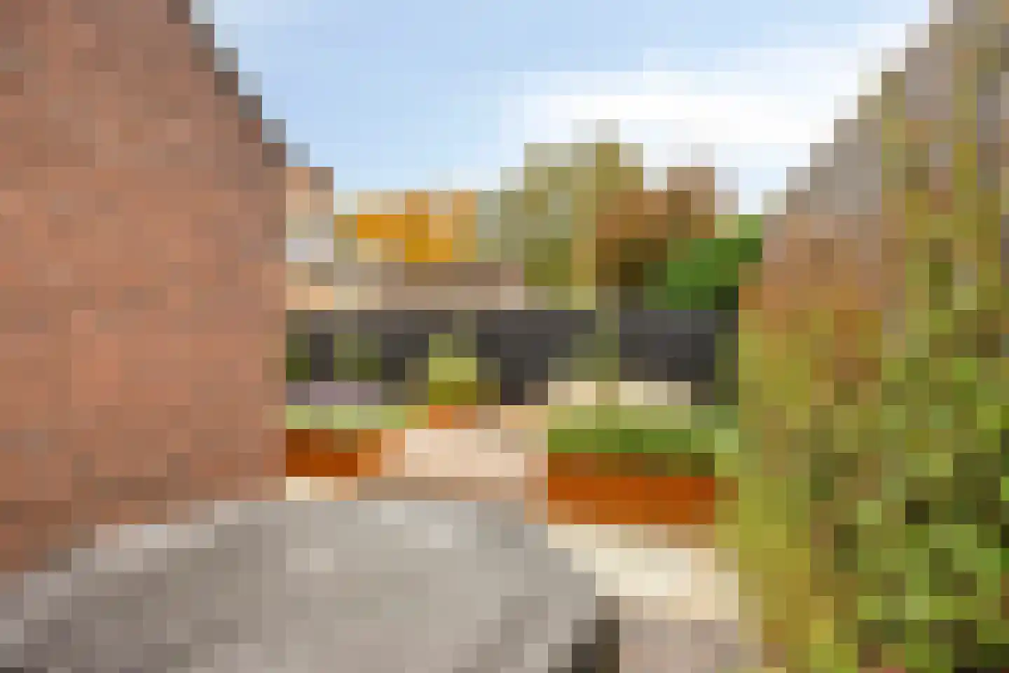 Burgemeester Mostermanslaan 7 Lieshout thumbnail 76