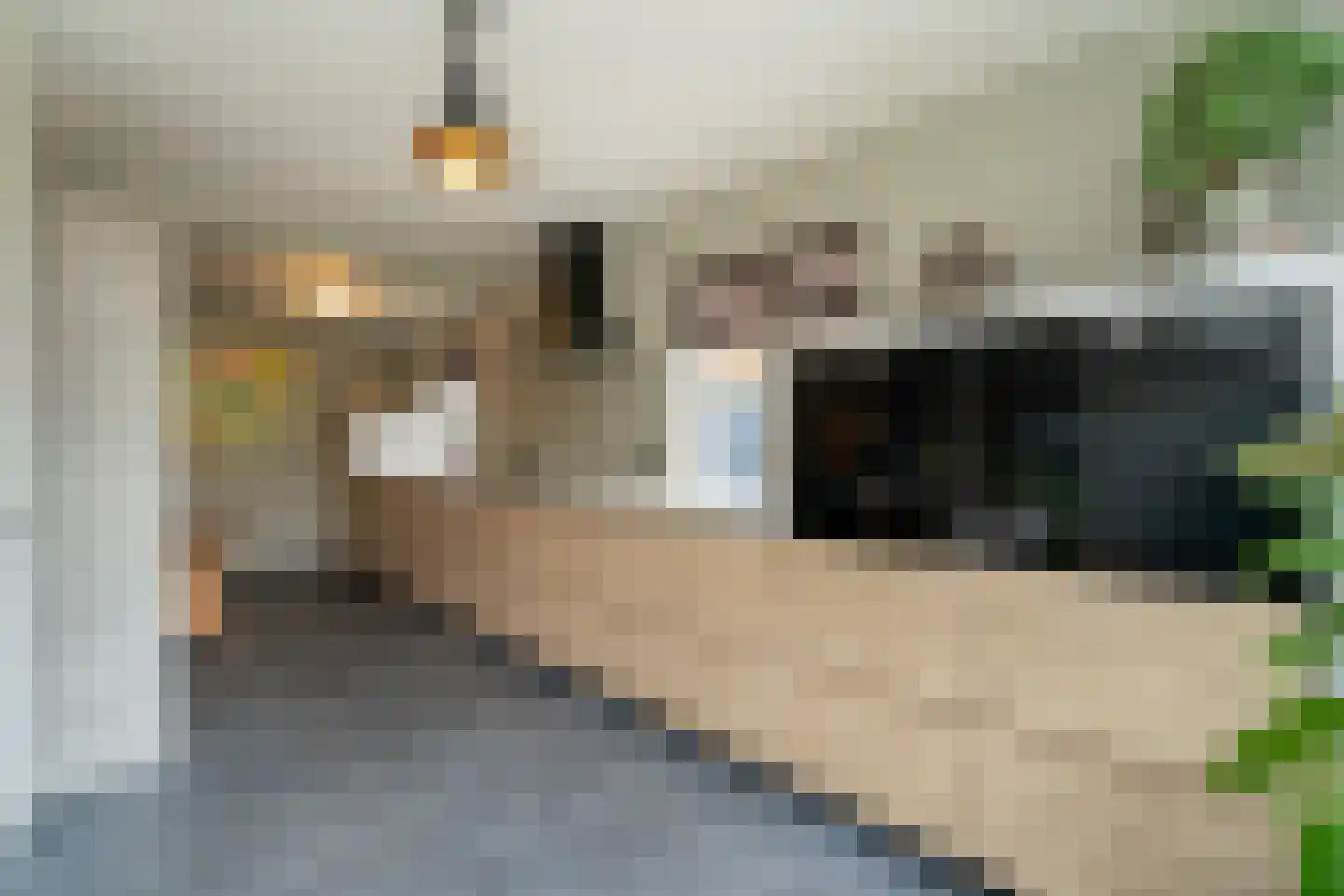 Burgemeester Mutsaersstraat 22 Tilburg thumbnail 20