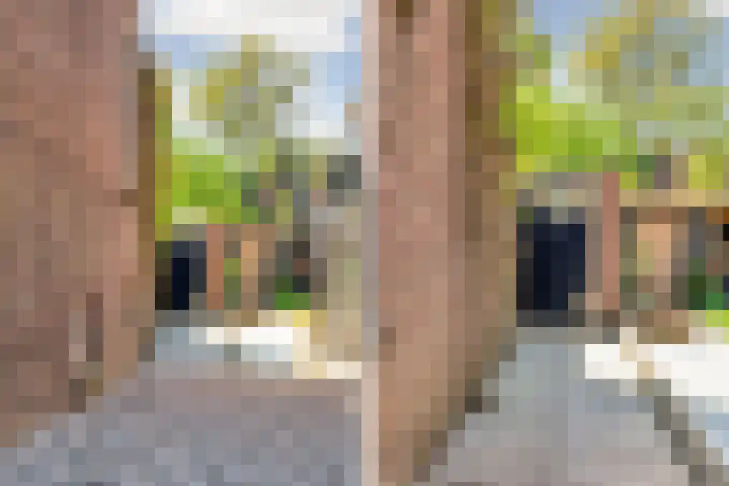 Burgemeester Nahuyssingel 21 Doesburg thumbnail 65