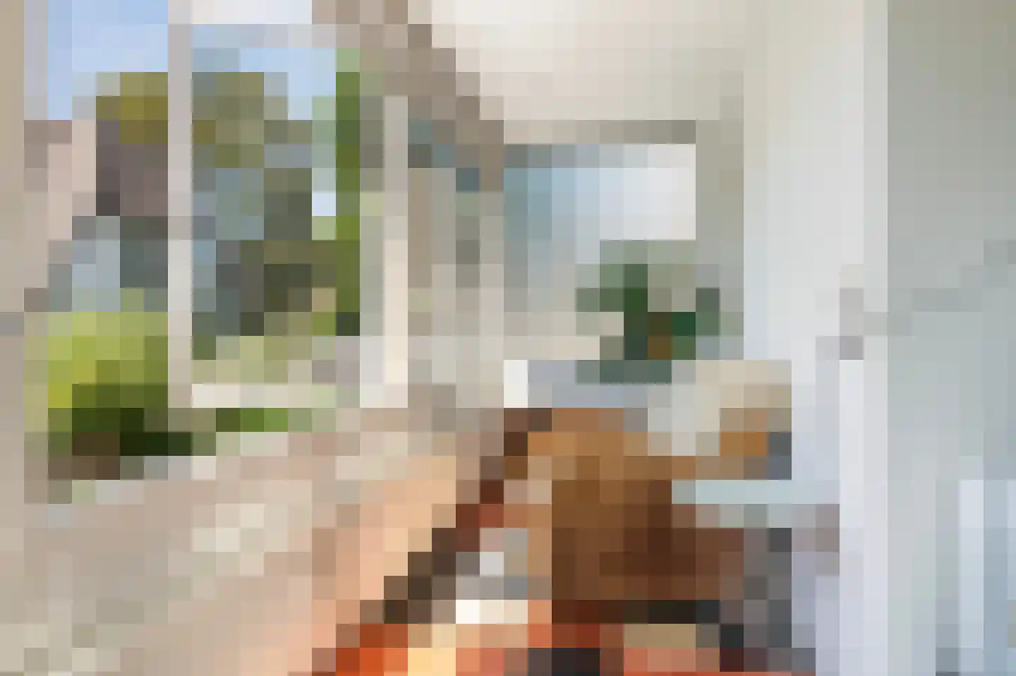 Burgemeester Nahuyssingel 31 Doesburg thumbnail 14