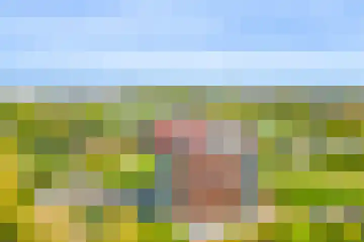 Burgemeester Nederbragtpark 57 Voorburg