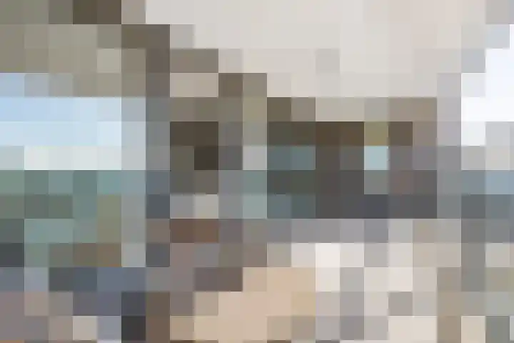 Burgemeester Nederbragtpark 57 Voorburg thumbnail 10