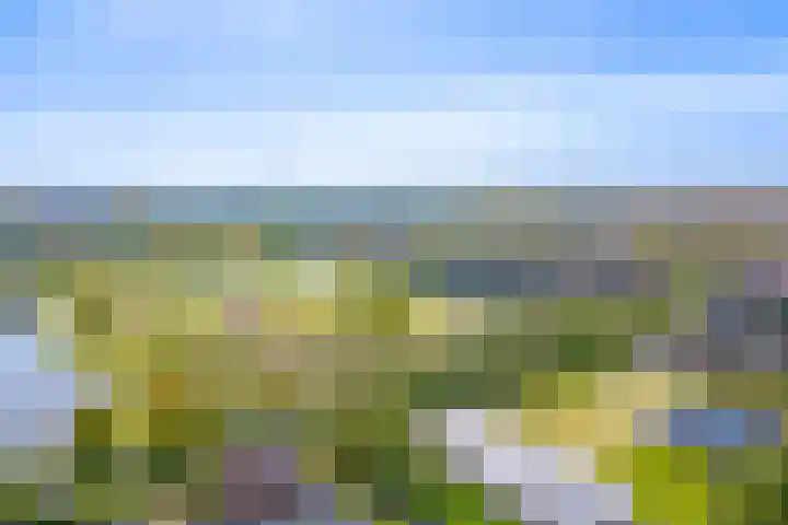 Burgemeester Nederbragtpark 57 Voorburg thumbnail 12