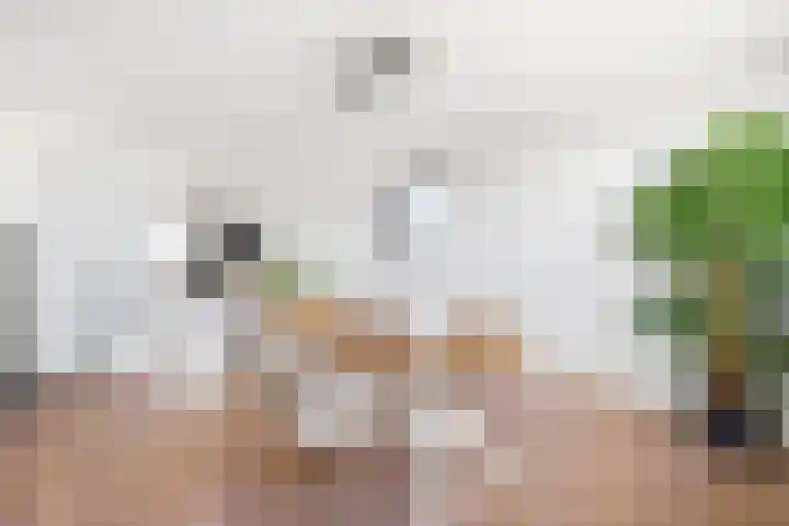 Burgemeester Nederbragtpark 57 Voorburg thumbnail 17