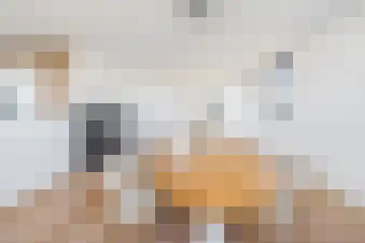 Burgemeester Nederbragtpark 57 Voorburg thumbnail 19