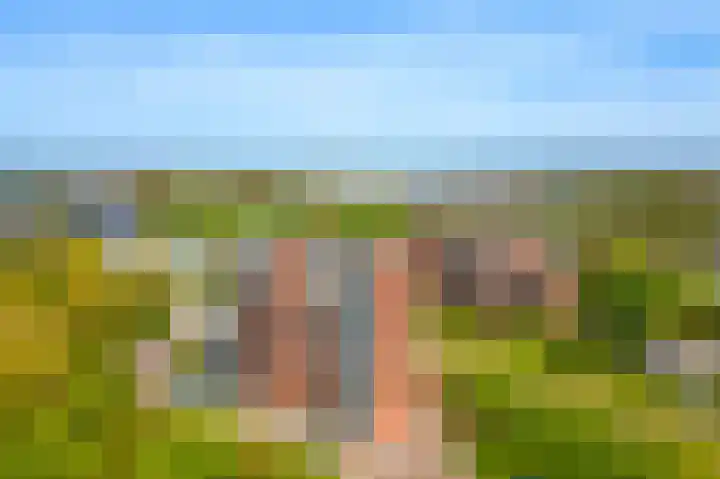 Burgemeester Nederbragtpark 57 Voorburg foto 2