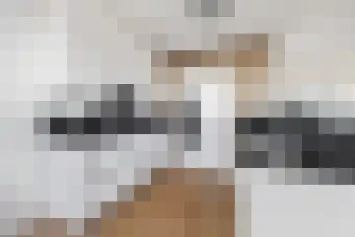 Burgemeester Nederbragtpark 57 Voorburg thumbnail 20