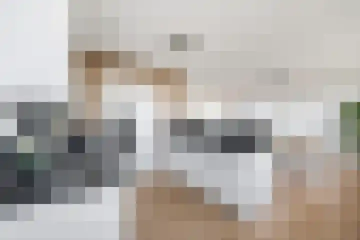 Burgemeester Nederbragtpark 57 Voorburg thumbnail 21