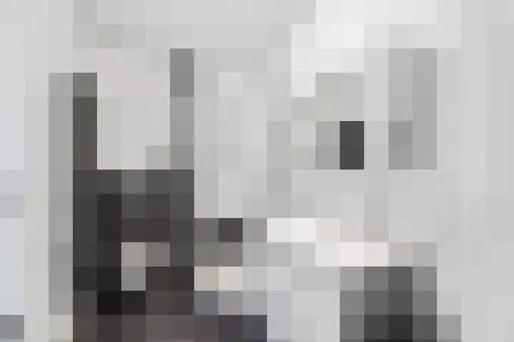 Burgemeester Nederbragtpark 57 Voorburg thumbnail 28