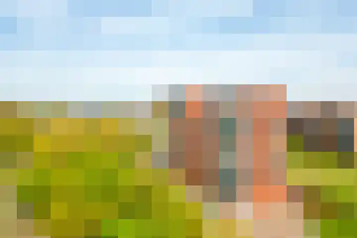 Burgemeester Nederbragtpark 57 Voorburg thumbnail 42