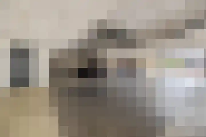 Burgemeester Nederbragtpark 57 Voorburg thumbnail 43