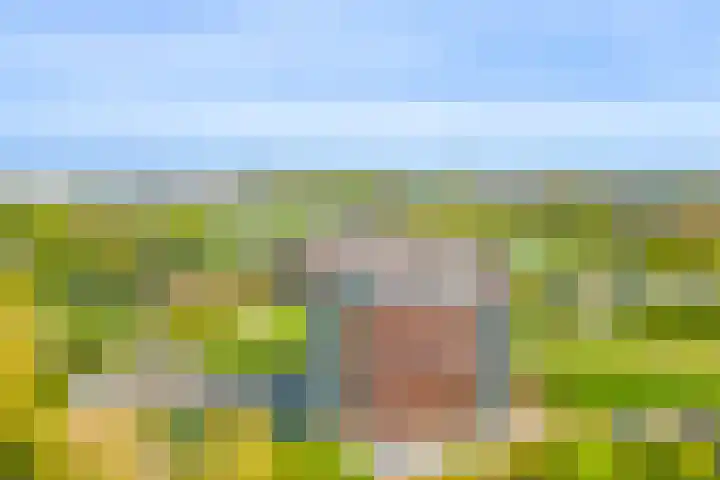 Burgemeester Nederbragtpark 57 Voorburg thumbnail 44