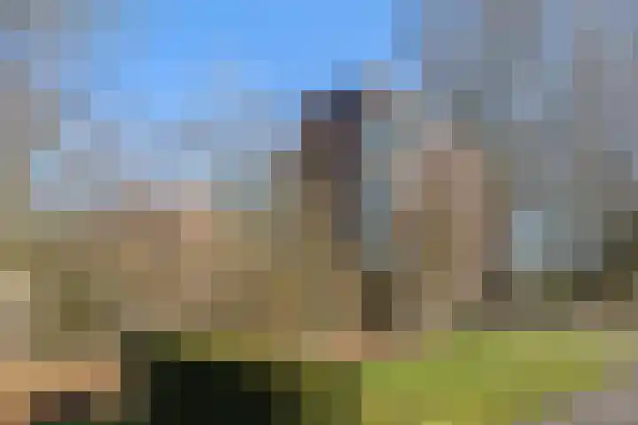 Burgemeester Nederbragtpark 57 Voorburg thumbnail 45