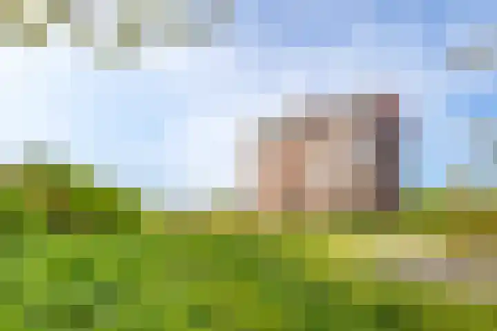 Burgemeester Nederbragtpark 57 Voorburg thumbnail 47