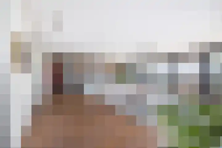 Burgemeester Nederbragtpark 57 Voorburg thumbnail 5